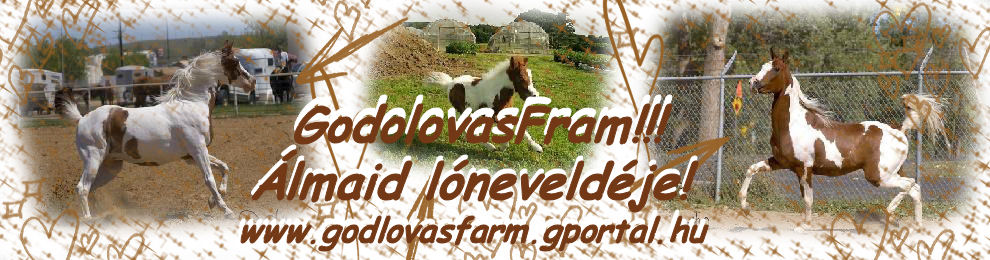 GodolovasFarm!!!Nevelj itt lovakat!
